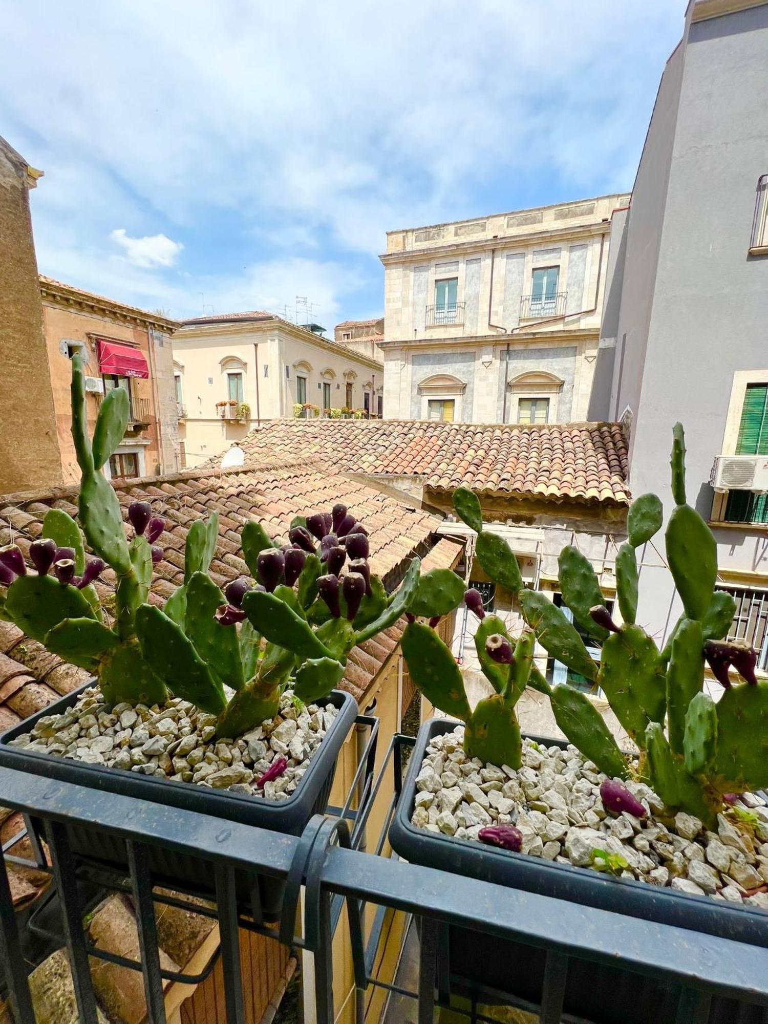 Apartamento Erasmo 19 CTA Exterior foto